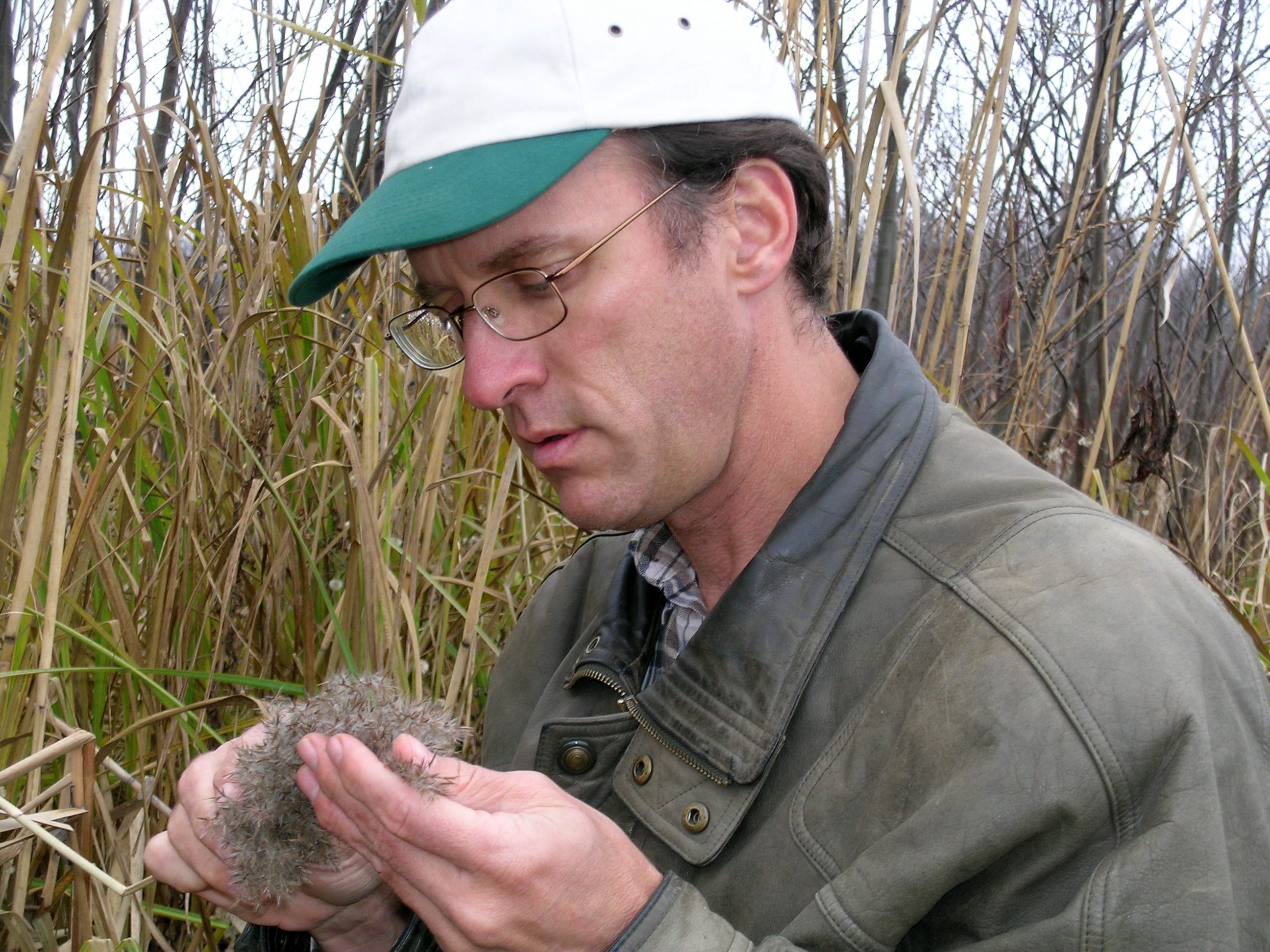 Jacques Brisson 1 Jacques Brisson 1 environmentalists farmers compete islands boucherville new